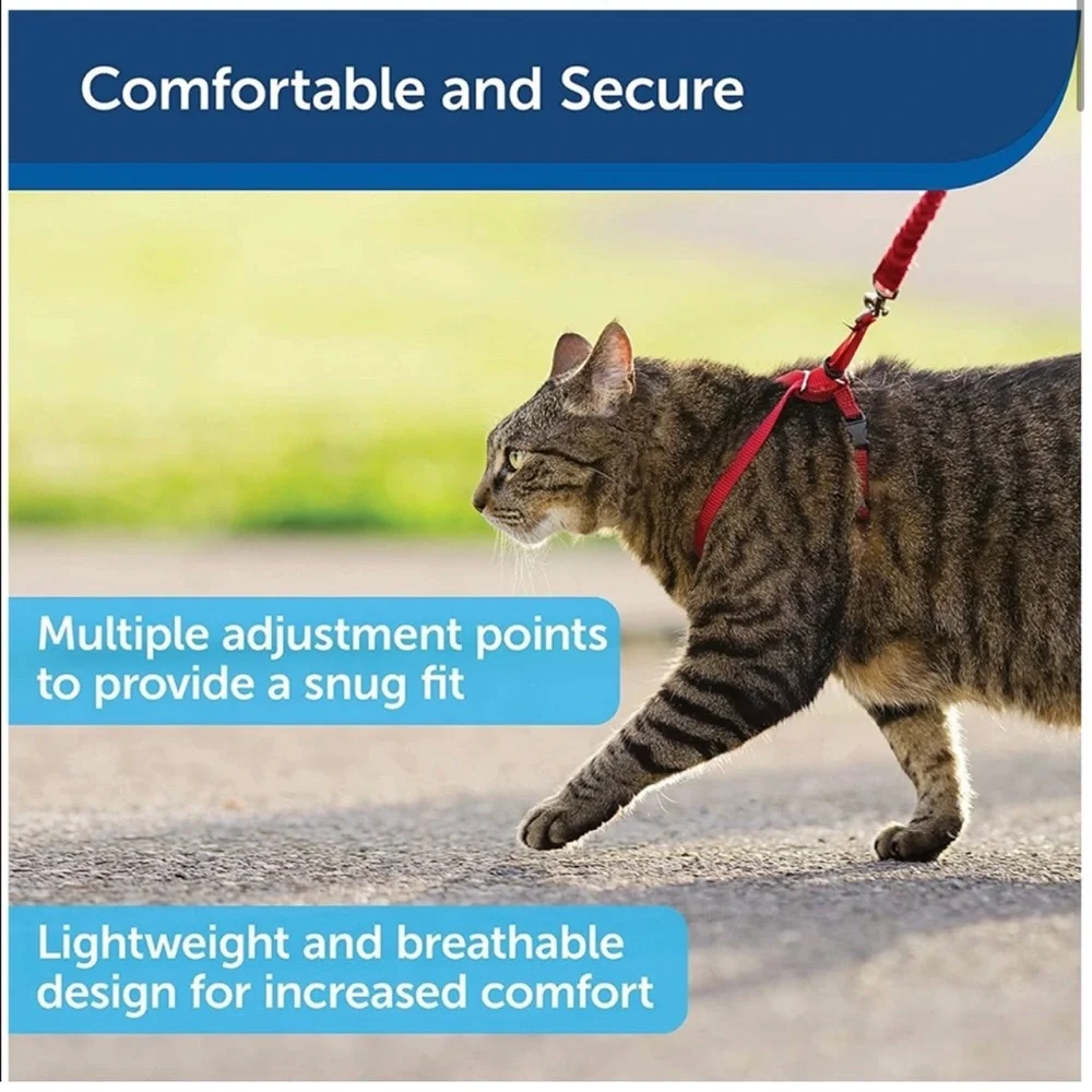 Pet safe come with me kitty harness and bungee leash blue medium